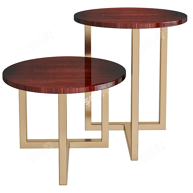 Elegant Twins Coffee Table 3D model image 1