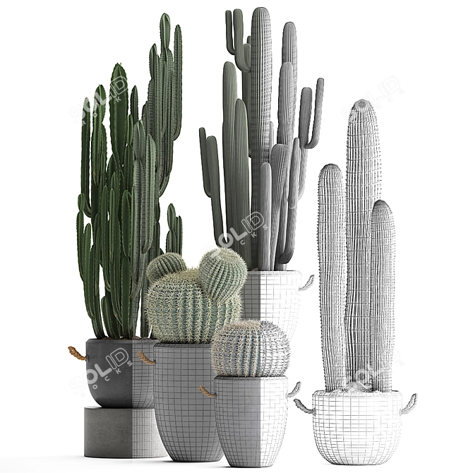 Exotic Cactus Collection - 411 Varieties 3D model image 3