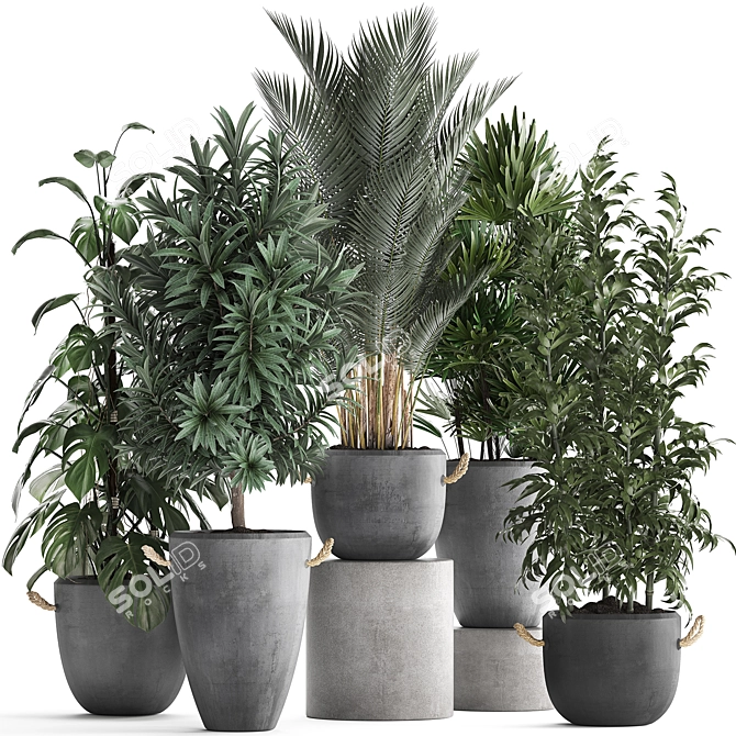 Exotic Indoor Plant Collection 3D model image 1