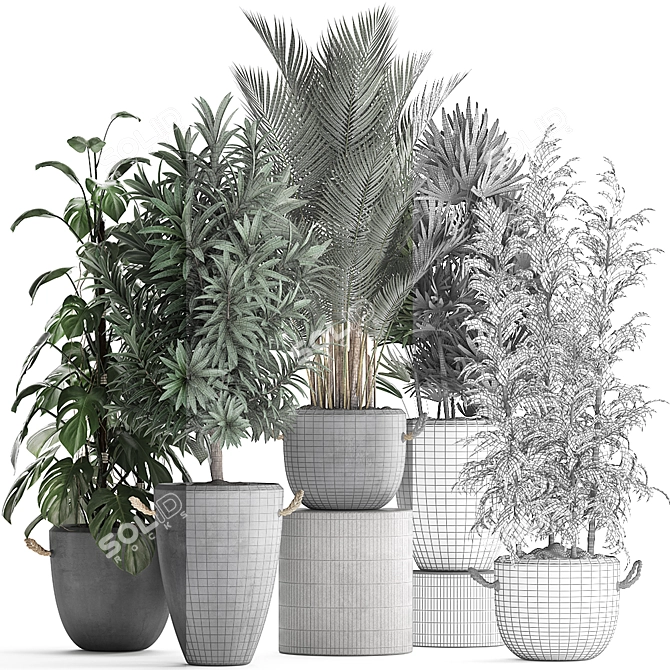 Exotic Indoor Plant Collection 3D model image 3