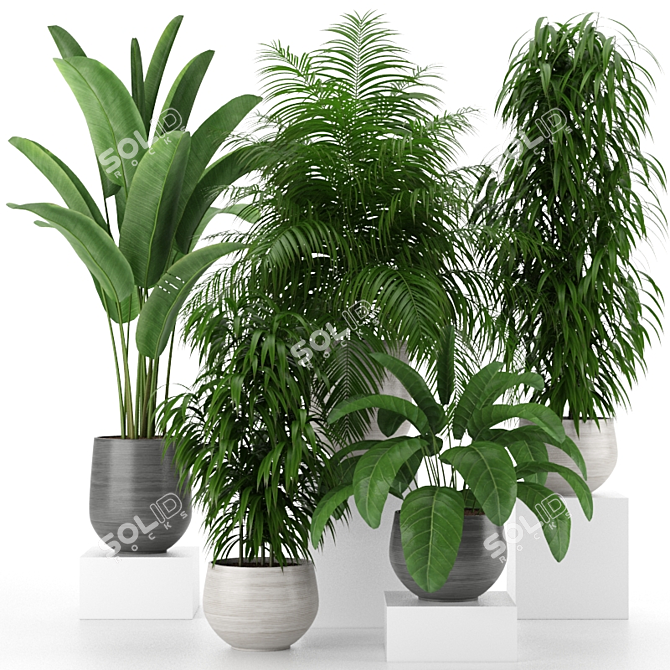 Tropical Oasis: Houseplant Collection 3D model image 1