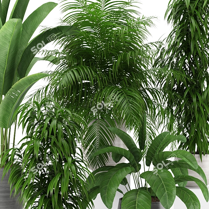 Tropical Oasis: Houseplant Collection 3D model image 2