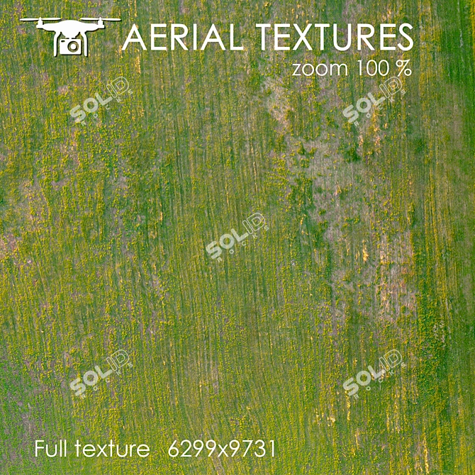 Aerial 259: Unique Exterior Texture 3D model image 2