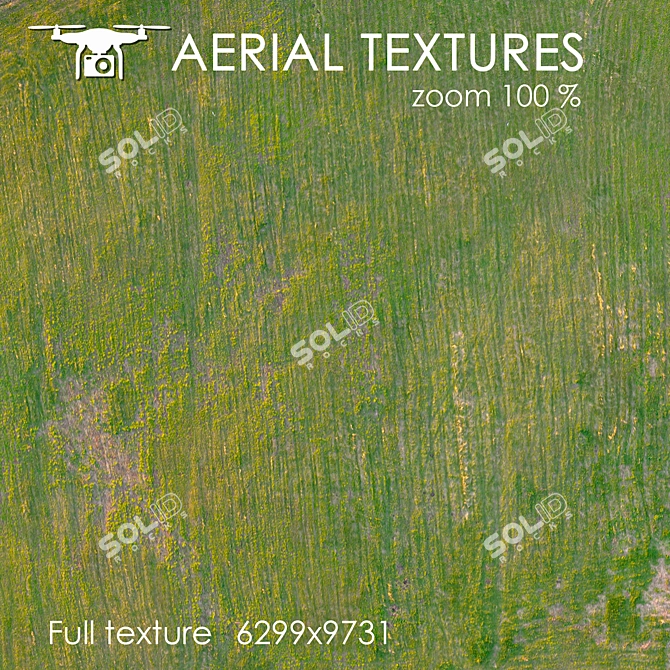 Aerial 259: Unique Exterior Texture 3D model image 3