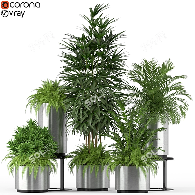 Botanical Oasis: Plants Collection 206 3D model image 1