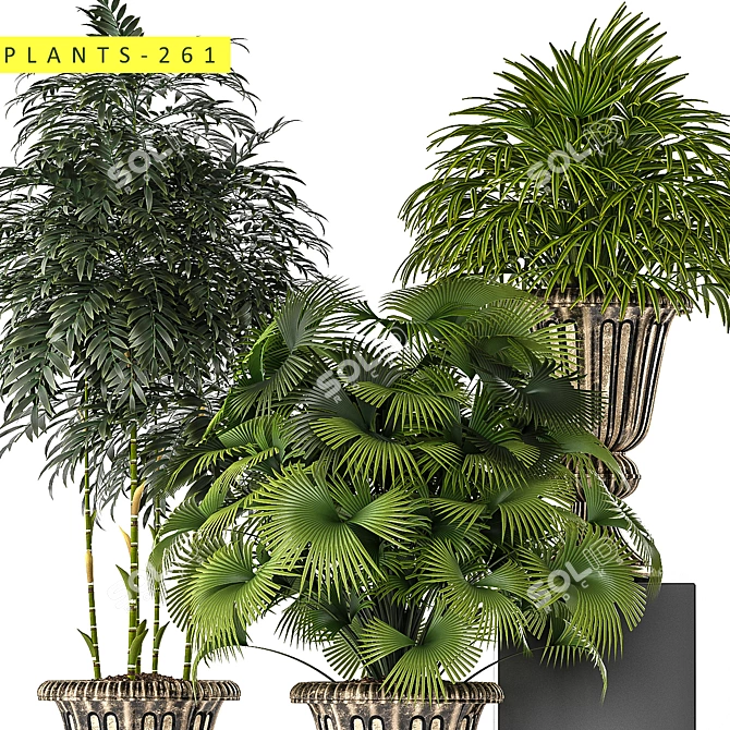 Lush Greens- 3D Plants Collection 3D model image 3