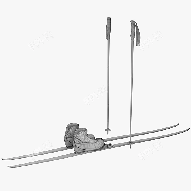 Fischer Twin Skin Ski Set 3D model image 3