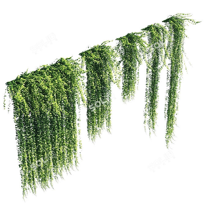 Tall Vernonia elliptica: 1.5-4m 3D model image 3