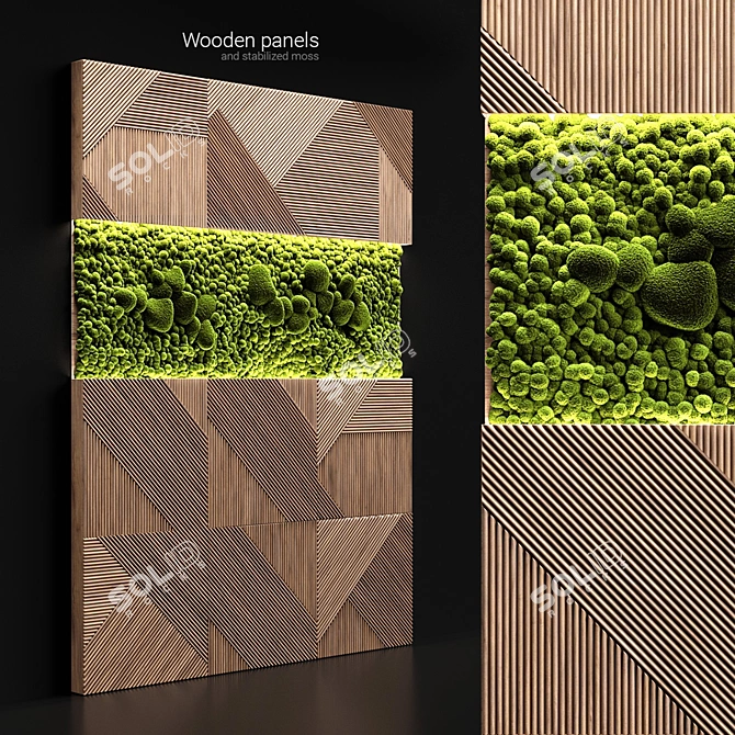 Nature's Glow: Wood Panel & Stabilized Moss 3D model image 1