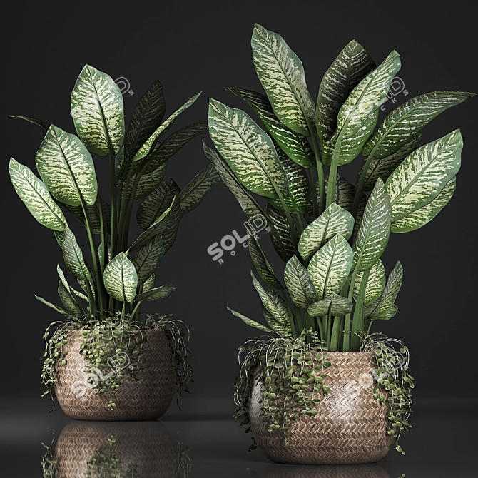 Exotic Indoor Plant Collection 3D model image 1