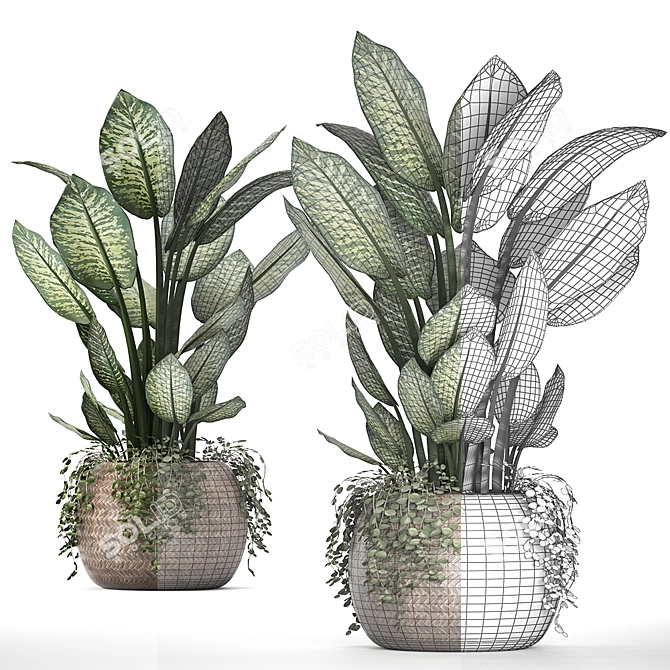 Exotic Indoor Plant Collection 3D model image 3