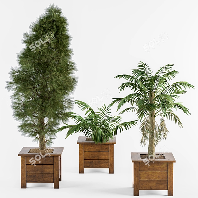 Wooden Pot Outdoor Plants 3D model image 1