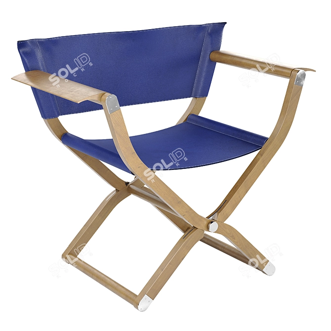 Luxury Hermes Pippa Folding Armchair 3D model image 1