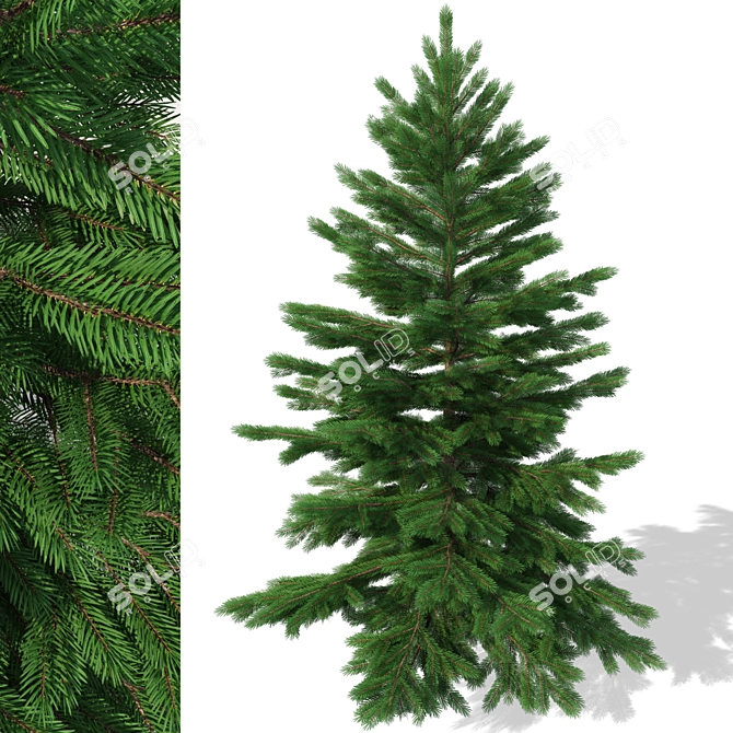 Realistic Christmas Tree for Exterior or Holiday Scenes 3D model image 1