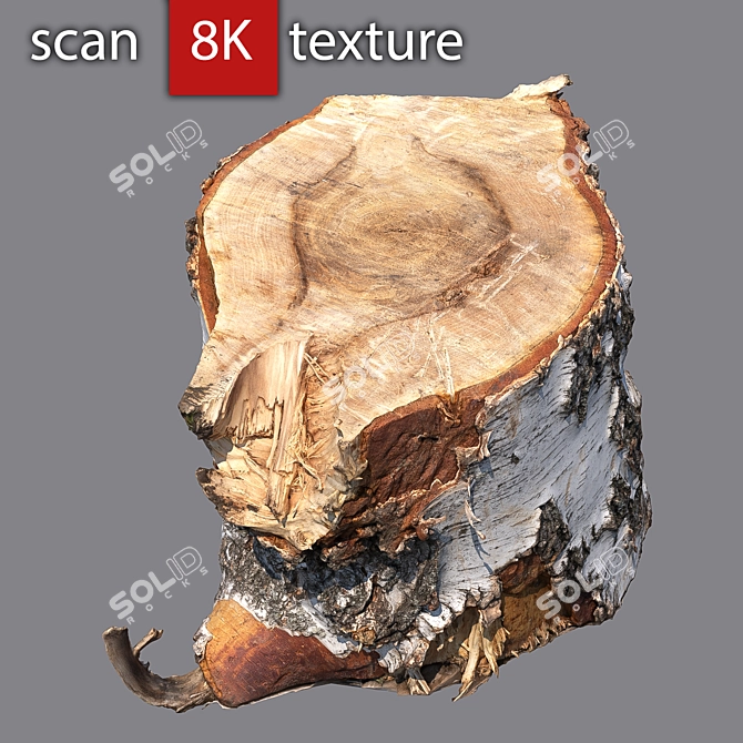 Detailed 3D Stump Model 3D model image 1