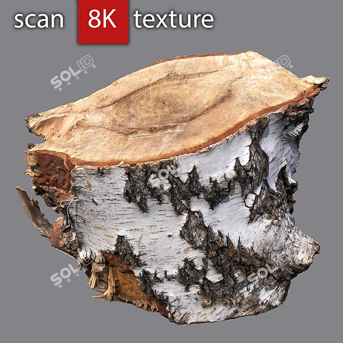 Detailed 3D Stump Model 3D model image 2