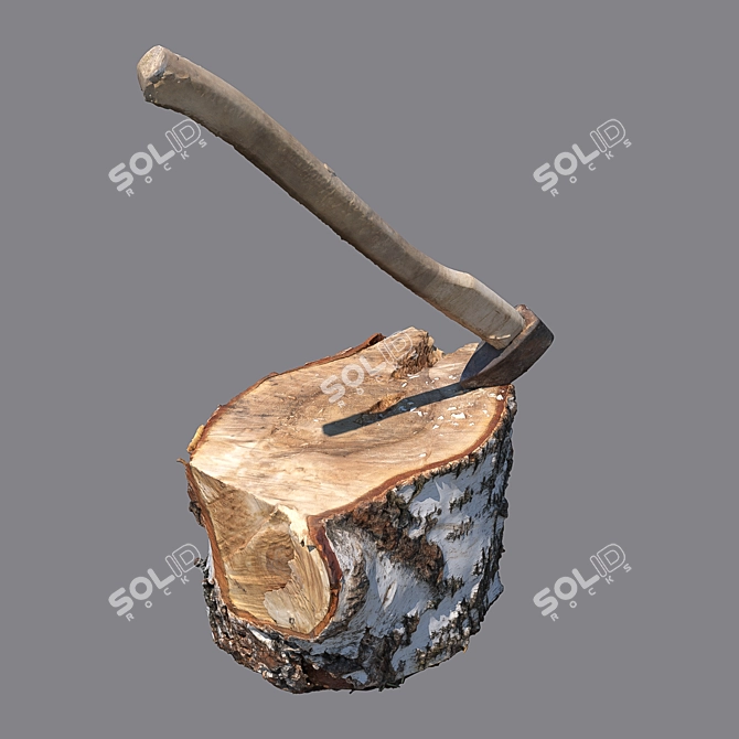 Detailed Stump 3D Model with 8K Texture 3D model image 2