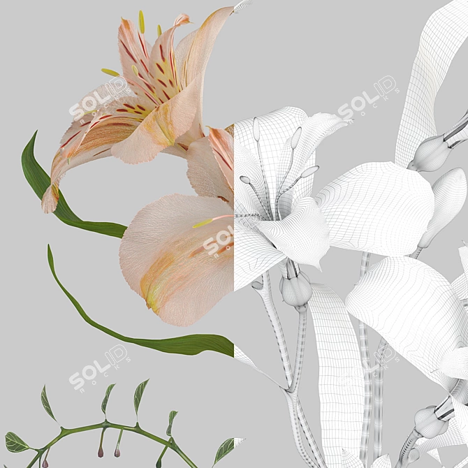 Title: Alstroemeria Vase Trio 3D model image 3