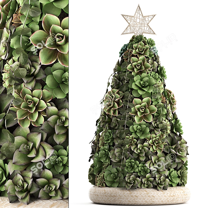 Exotic Succulent Tree: Perfect for New Year Decor 3D model image 1