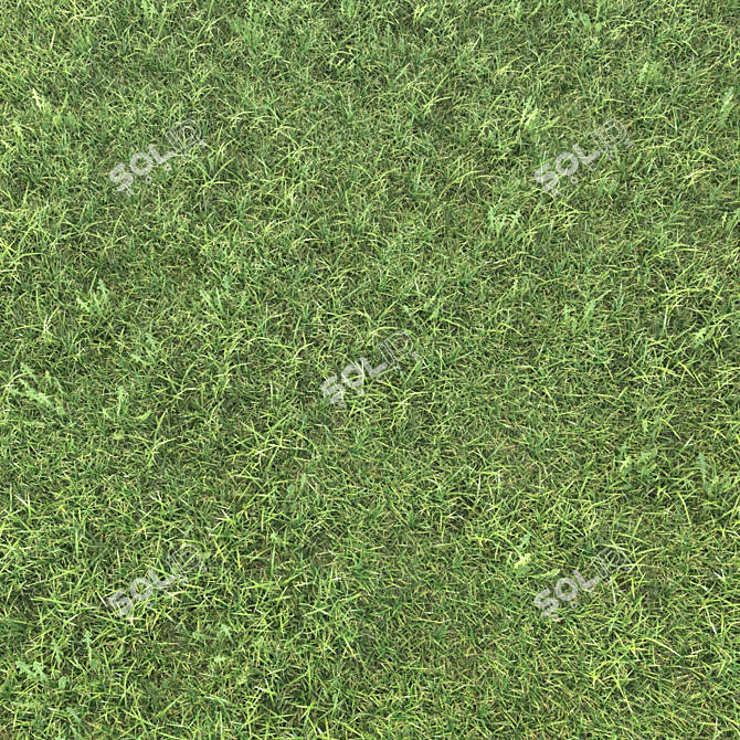 Realistic Grass Landscaping Model 3D model image 1