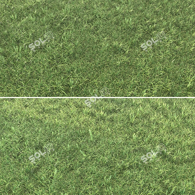 Realistic Grass Landscaping Model 3D model image 2