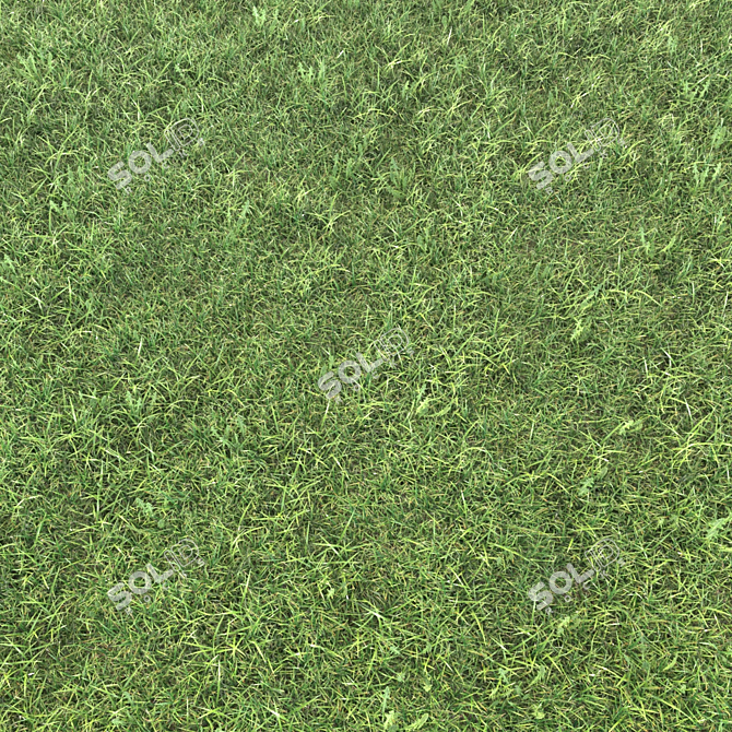 Realistic Grass Landscaping Model 3D model image 3