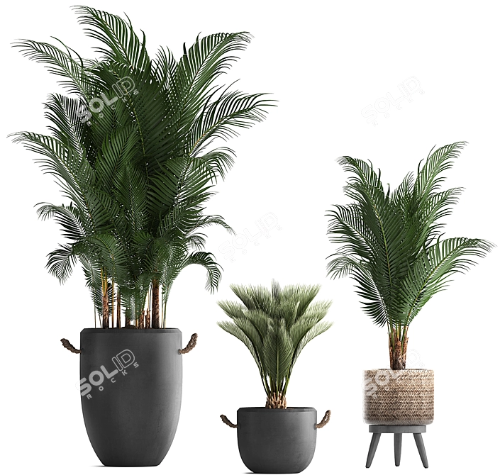 Title: Tropical Plant Collection 3D model image 2