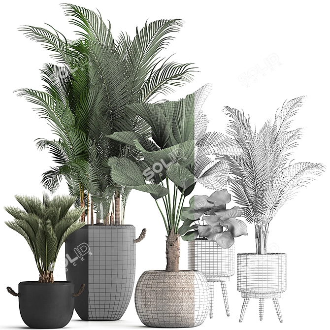 Title: Tropical Plant Collection 3D model image 3