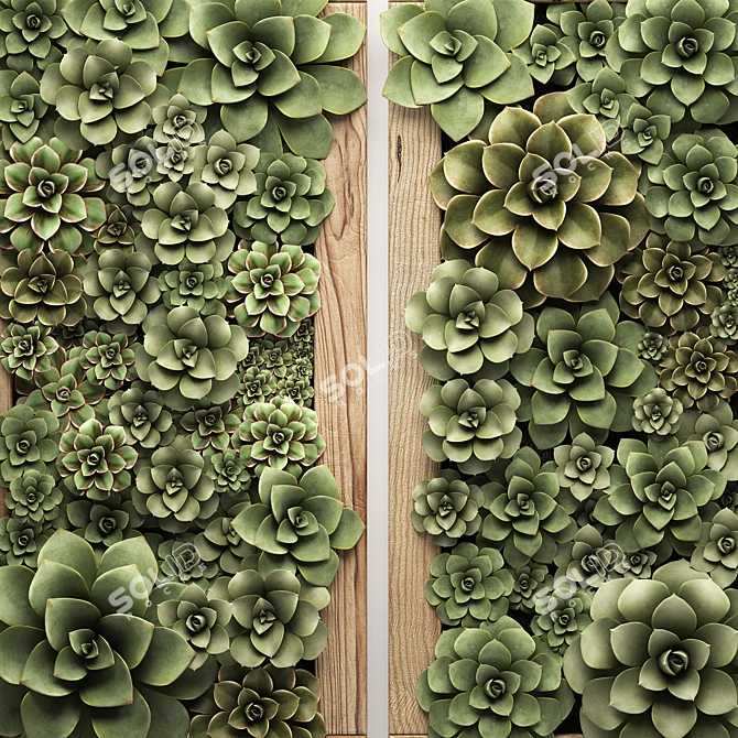 Echeveria Vertical Garden Module 3D model image 2