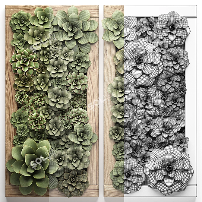 Echeveria Vertical Garden Module 3D model image 3