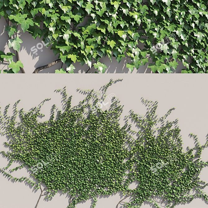 Polys Ivy Green Wall - 4000 mm 3D model image 1