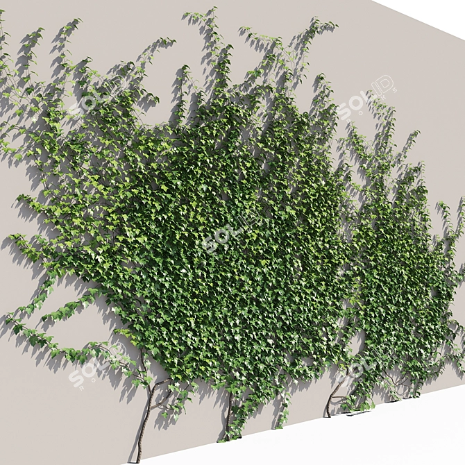 Polys Ivy Green Wall - 4000 mm 3D model image 2