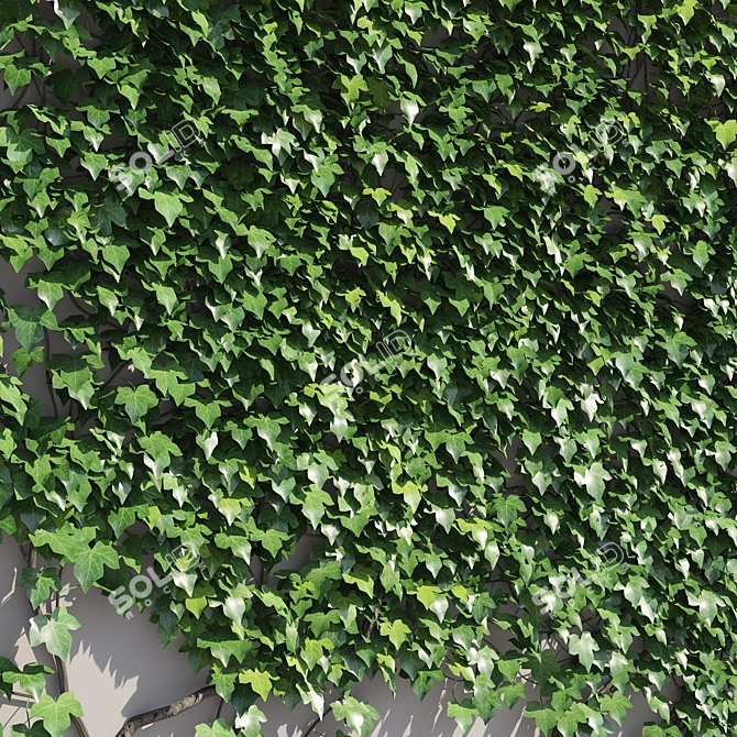 Polys Ivy Green Wall - 4000 mm 3D model image 3