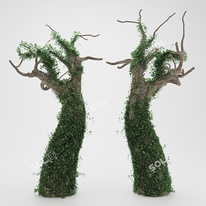 Ethereal Ivy on Lifeless Bark 3D model image 1