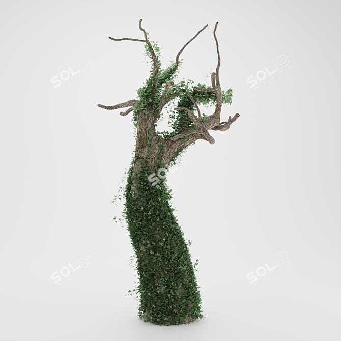 Ethereal Ivy on Lifeless Bark 3D model image 3