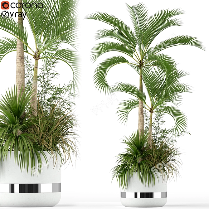 207 Plants Collection: Versatile & Vibrant 3D model image 1