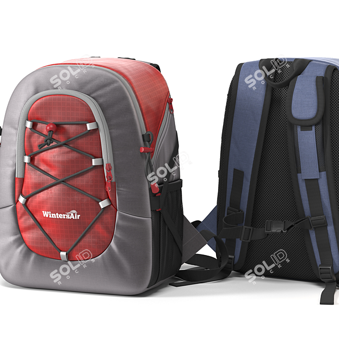 WinterBreeze Backpack 3D model image 1