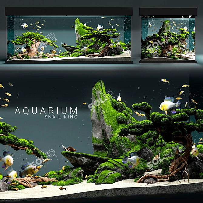  Majestic Kingdom: Aquarium Snail King 3D model image 1