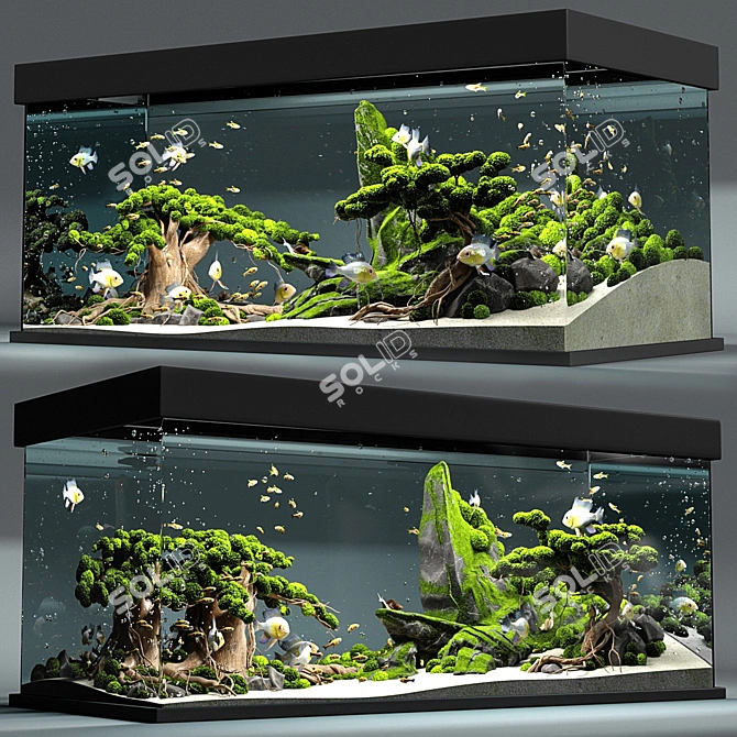  Majestic Kingdom: Aquarium Snail King 3D model image 2