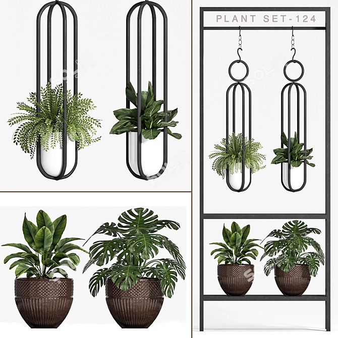 Modern Plant Trio Set 3D model image 1