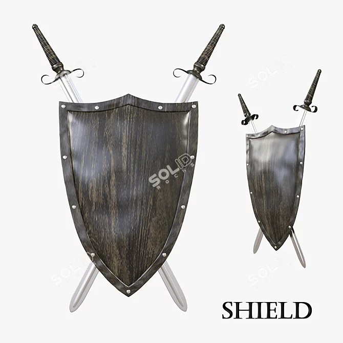 Shield on the Wall 3D model image 1