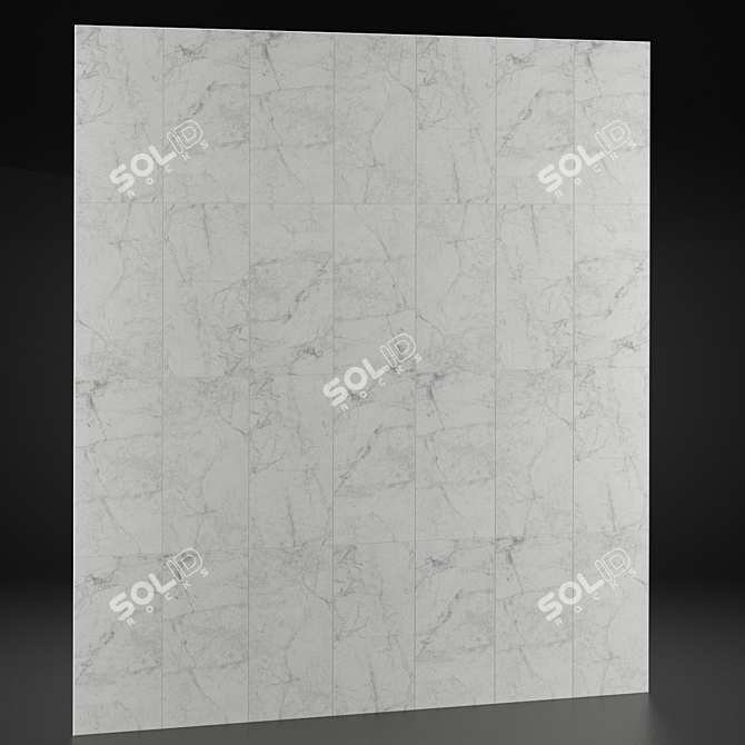 Versatile Ceramic Wall: 30x60cm Tiles 3D model image 2