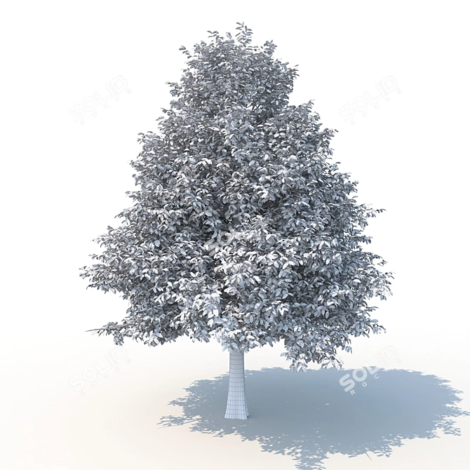 Forest Majesty 3D Tree 3D model image 3