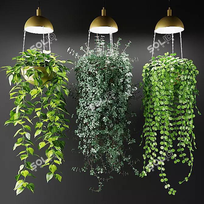 Luminous Hanging Plants in Chic Cache-Pot 3D model image 1