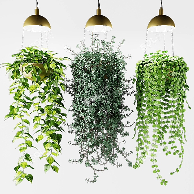 Luminous Hanging Plants in Chic Cache-Pot 3D model image 2