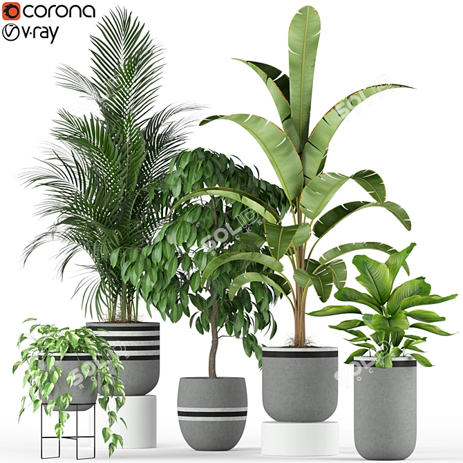 Nature's Haven: 212 Plant Collection 3D model image 1