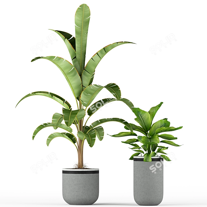 Nature's Haven: 212 Plant Collection 3D model image 3