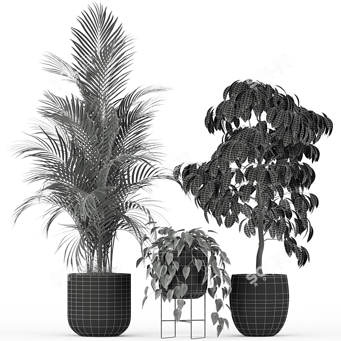 Nature's Haven: 212 Plant Collection 3D model image 4
