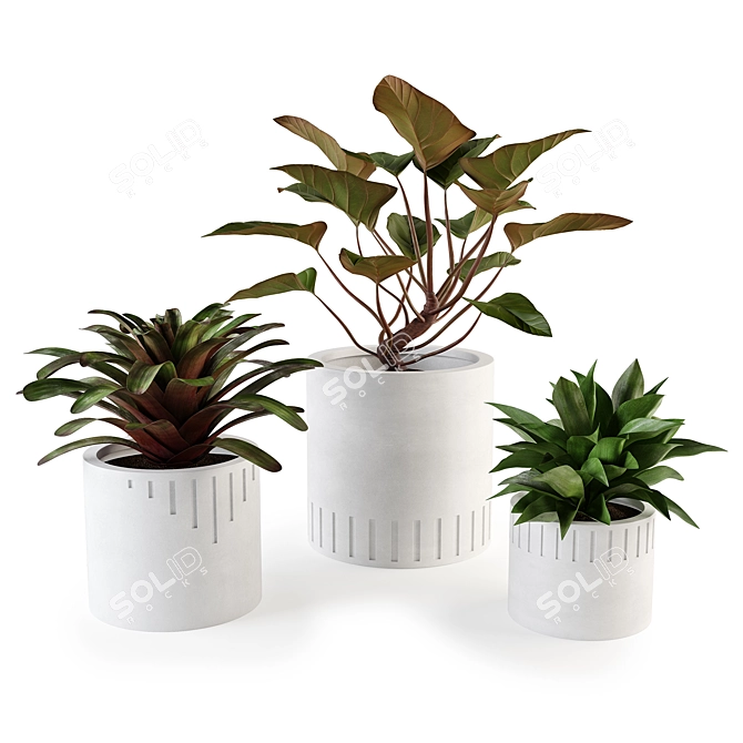 Modern Concrete Planters Set 3D model image 1