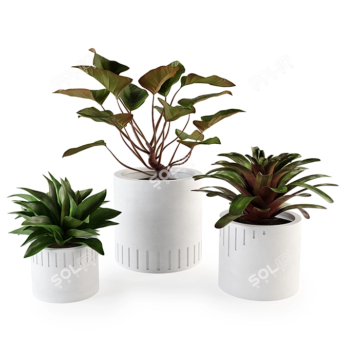 Modern Concrete Planters Set 3D model image 2